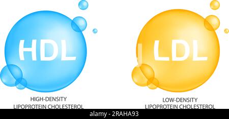 Cholestérol HDL et LDL. Bonne et mauvaise cholestérolémie. Icônes de lipoprotéines de haute et de basse densité isolées sur fond blanc. Infographie médicale. Illustration vectorielle Illustration de Vecteur