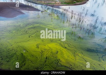 Vue aérienne de motifs dans les algues bleu-vert à la surface des eaux du lac Eildon à Victoria, Australie Banque D'Images