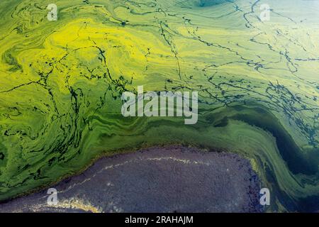 Vue aérienne de motifs dans les algues bleu-vert à la surface des eaux du lac Eildon à Victoria, Australie Banque D'Images