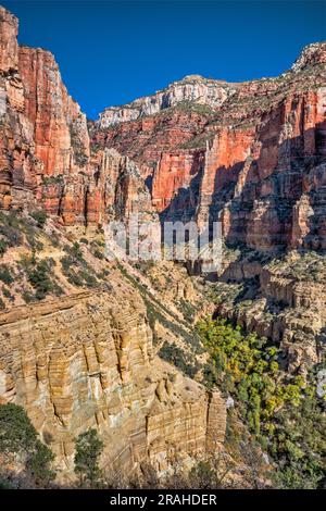 Roaring Springs Canyon, sous le plateau nord, North Kaibab Trail, parc national du Grand Canyon, Arizona, États-Unis Banque D'Images