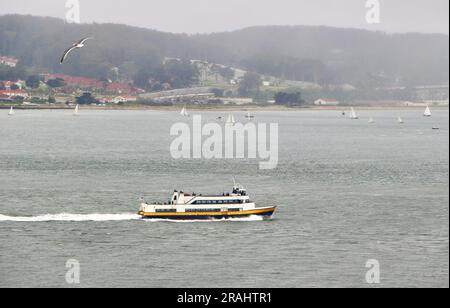 Ferry de passagers Bay Monarch exploité par Blue & Gold Fleet traversant la baie vue de l'île d'Alcatraz San Francisco Californie USA Banque D'Images