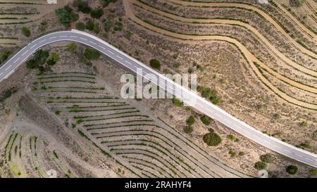 Vue aérienne des vignobles de la zone d'appellation d'origine Priorat dans la province de Tarragone en Catalogne en Espagne Banque D'Images