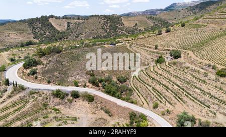 Vue aérienne des vignobles de la zone d'appellation d'origine Priorat dans la province de Tarragone en Catalogne en Espagne Banque D'Images