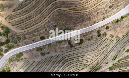 Vue aérienne des vignobles de la zone d'appellation d'origine Priorat dans la province de Tarragone en Catalogne en Espagne Banque D'Images