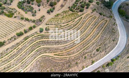 Vue aérienne des vignobles de la zone d'appellation d'origine Priorat dans la province de Tarragone en Catalogne en Espagne Banque D'Images