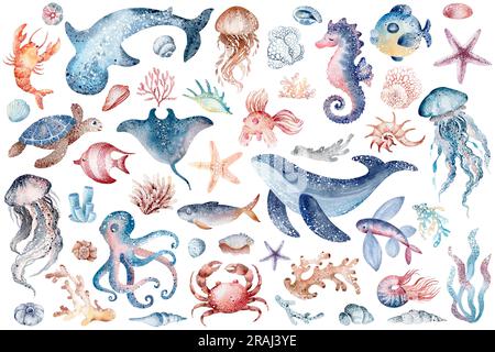 Aquarelle illustrations d'animaux marins sous-marins pieuvre, hippocampe, crabe, étoiles de mer, méduse. Habitants marins du monde sous-marin. Banque D'Images