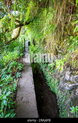 Sentier étroit le long de levada Caldeirao Verde (canal d'irrigation) dans l'île de Madère, Portugal Banque D'Images