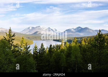 Beau paysage du parc national de Rondane en Norvège en été Banque D'Images