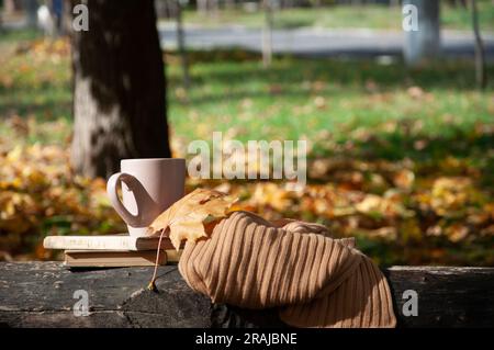 disposition d'automne pour les photos, sur le banc il y a une tasse, des livres et une écharpe marron. il y a des feuilles jaunes autour, il y a une place pour une inscription. A. Banque D'Images