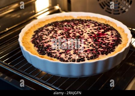 Tarte à pâte brisée maison avec bleuets et garniture à la crème sure dans un plat en céramique blanche. Tarte au four. Gros plan. Banque D'Images