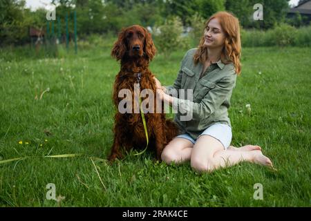 Red Irish Setter processus de formation en extérieur. Belle blonde souriante bonne jeune femme en short denim sont assis au verre et l'entraînement d'un mignon samoyed Banque D'Images