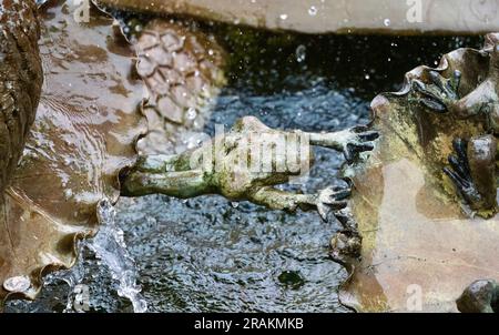 Gros plan d'une grenouille à la fontaine nommée Andrea par Ruth Asawa datée de 1968 à Ghirardelli Square San Francisco Californie USA Banque D'Images