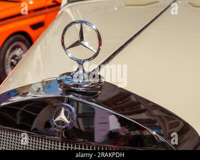 L'emblème Mercedes-Benz en forme d'étoile relevée sur le capot d'une voiture d'époque Banque D'Images