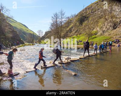 Personnes traversant les pierres de pas au-dessus de la rivière Dove dans le Peak District, Angleterre, Royaume-Uni Banque D'Images