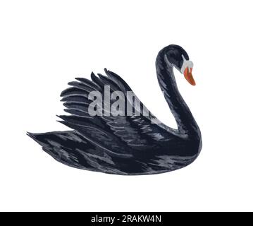 Illustration aquarelle de cygne noir. Oiseau noir dessiné à la main isolé sur fond blanc. concept d'amour Banque D'Images