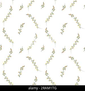 ornement de gracieuses fleurs jaunes de prairie. Motif sans couture aquarelle. Pour impressions, tissu, textile, scrapbooking, emballage. Banque D'Images