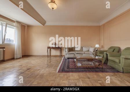 Une chambre spacieuse avec quelques meubles dans un coin avec des canapés rembourrés en tissu, un tapis et une table basse en métal et en verre Banque D'Images