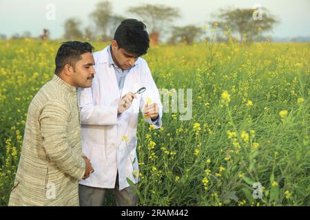 Médecin testant et examinant la qualité des cultures pour améliorer les avantages agricoles. Expert en cultures permettant aux agriculteurs de comprendre la qualité du sol. Banque D'Images