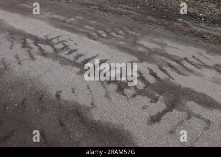 Traces de véhicules caterpillar sur l'asphalte Banque D'Images