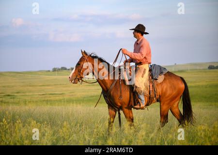 Kyle à cheval, Dennis Ranch, Red Owl, Dakota du Sud. Banque D'Images