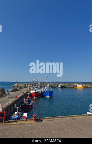 Bateaux de pêche locaux colorés amarrés le long des murs du port de Port Seton Harbour par un après-midi lumineux de juin en Écosse. Banque D'Images