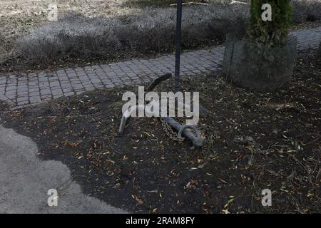 Les conséquences des inondations dans le parc, printemps Banque D'Images