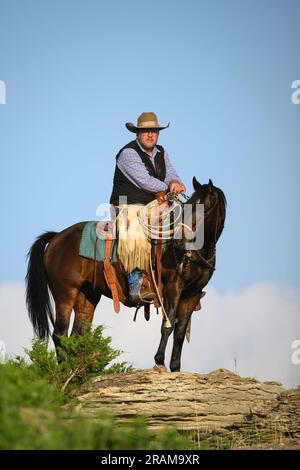 Chance Dennis de Dennis Ranch à Red Owl, Dakota du Sud. Banque D'Images