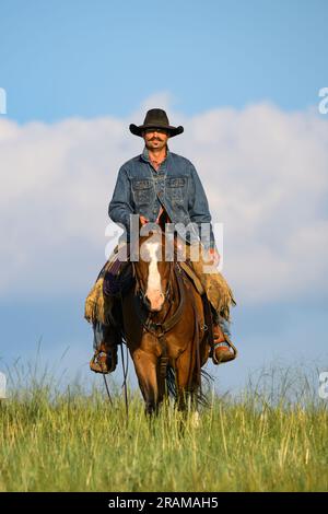 Dennis Ranch, Red Owl, Dakota du Sud. Banque D'Images