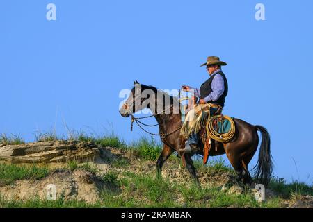 Chance Dennis au Dennis Ranch à Red Owl, Dakota du Sud. Banque D'Images