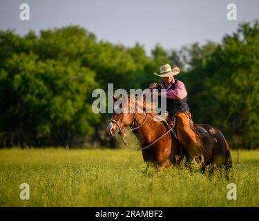 Dennis Ranch, Red Owl, Dakota du Sud. Banque D'Images