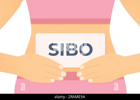 Femme tient la carte avec SIBO (petite prolifération bactérienne intestinale) diagnostic sur son ventre - illustration vectorielle Illustration de Vecteur