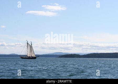 Le Pacific Grace naviguant dans le Georgia Straight, en Colombie-Britannique Banque D'Images