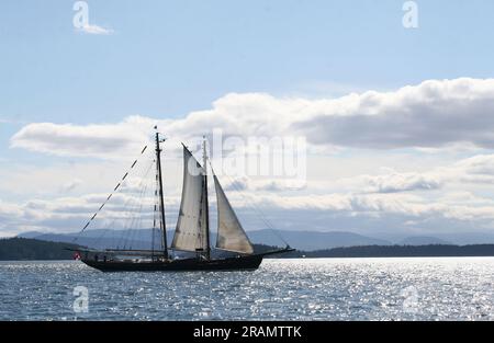 Le Pacific Grace naviguant dans le Georgia Straight, en Colombie-Britannique Banque D'Images