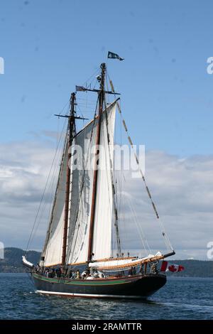 Le Pacific Grace naviguant dans le Georgia Straight, en Colombie-Britannique Banque D'Images