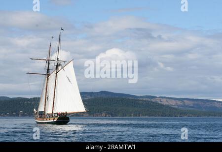 Le Pacific Grace naviguant dans le Georgia Straight, en Colombie-Britannique Banque D'Images