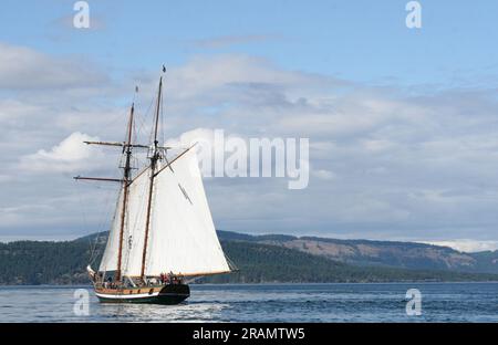 Le Pacific Grace naviguant dans le Georgia Straight, en Colombie-Britannique Banque D'Images