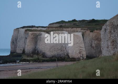 White Chalk Cliffs sur la plage de Botany Bay, à Broadstairs, dans le Kent, Royaume-Uni. Banque D'Images