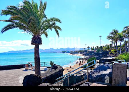 Lanzarote Îles Canaries Puerta del Carmen plage principale et palmiers avec ciel bleu profond Banque D'Images