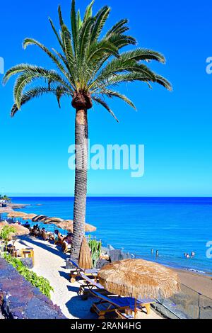 Lanzarote Îles Canaries Puerta del Carmen plage principale et palmiers et parasols en paille avec ciel bleu profond Banque D'Images