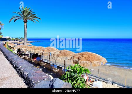 Lanzarote Îles Canaries Puerta del Carmen plage principale et palmiers et parasols en paille avec ciel bleu profond et mer Banque D'Images