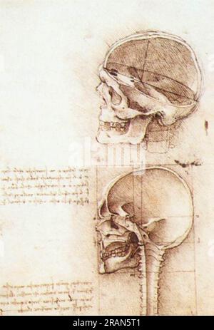 Etudes du crâne humain 1489 ; Milan, Italie par Léonard de Vinci Banque D'Images