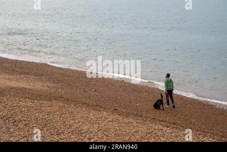 Personne non reconnue marchant avec un chien dans la plage de galets. Personnes actives en plein air Banque D'Images