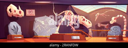 Squelettes fossiles de dinosaures au musée d'histoire, d'archéologie et de paléontologie. Intérieur du musée préhistorique avec des expositions d'os d'animaux anciens et d'empreintes de dinosaures, illustration de dessin animé vectoriel Illustration de Vecteur