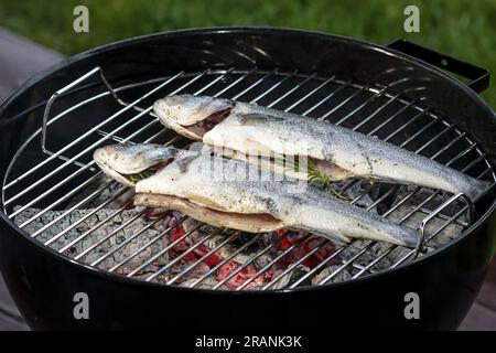Barbecue de poisson grillé frais, bar rôti entier. Grill de truite cuite, dîner pique-nique avec citron et épices. Helthy cuisine medditérienne. COA Banque D'Images