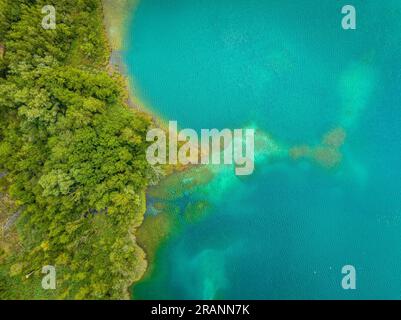 Vue zénithale aérienne du lac Estany de Banyoles, de la forêt riveraine et des détails sous-marins (Pla de l'Estany, Gérone Catalogne) Banque D'Images