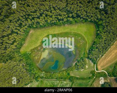 Vue zénithale aérienne des lagunes de CAN Morgat et de la forêt riveraine à côté du lac Banyoles (Pla de l'Estany, Gérone Catalogne) Banque D'Images