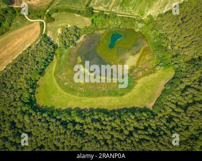 Vue zénithale aérienne des lagunes de CAN Morgat et de la forêt riveraine à côté du lac Banyoles (Pla de l'Estany, Gérone Catalogne) Banque D'Images