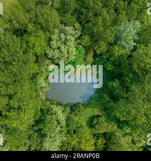 Vue zénithale aérienne de la lagune CAN Sisó et de la forêt riveraine à côté du lac Banyoles (Pla de l'Estany, Gérone Catalogne) Banque D'Images