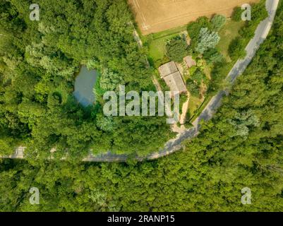 Vue zénithale aérienne de la lagune CAN Sisó et de la forêt riveraine à côté du lac Banyoles (Pla de l'Estany, Gérone Catalogne) Banque D'Images