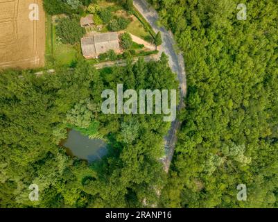 Vue zénithale aérienne de la lagune CAN Sisó et de la forêt riveraine à côté du lac Banyoles (Pla de l'Estany, Gérone Catalogne) Banque D'Images